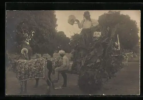 AK Orientalischer Festzug mit Ochsen-Gespann