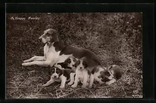 AK Hundemutter mit Wurf auf einer Wiese