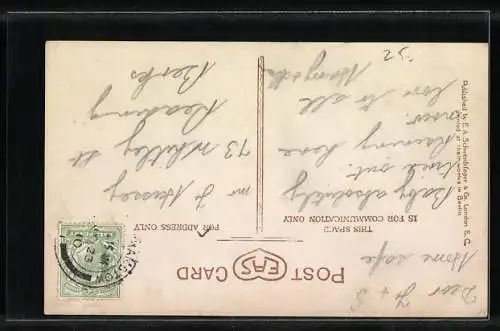 AK Hundemutter mit Wurf auf einer Wiese