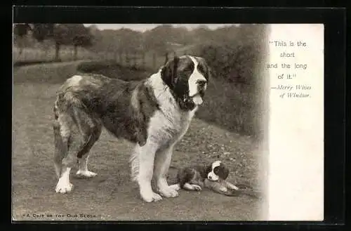 AK This is the short and the long of it, Merry Wives of Windsor, Bernhardiner und Welpe