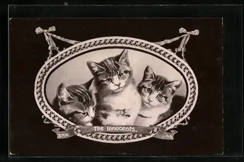 AK The Innocents, Drei junge Katzen