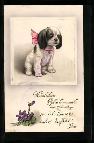 AK Hundewelpe mit rosa Schleife, Veilchen, Geburtstagsgruss