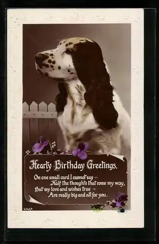 AK Hund mit langen schwarzen Ohren, Geburtstagsgruss