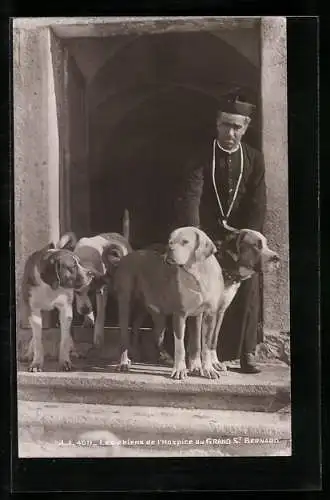 AK Grand St. Bernard, Les Chiens de l`Hospice