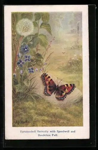 Künstler-AK Tortoiseshell Butterfly with Speedwell and Dandelion Puff, Schmetterling