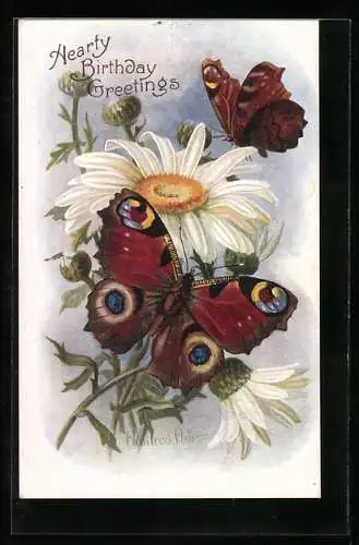 AK Pfauenaugen und Margarite, Geburtstagsgruss