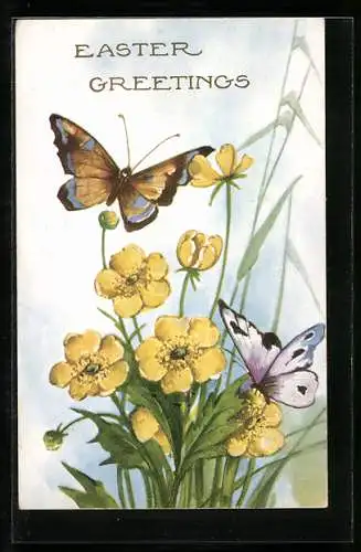 AK Schmetterlinge und gelbe Wiesenblumen