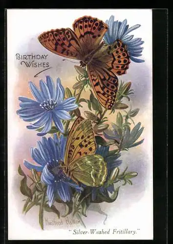 AK Silver-Washed Fritillary, Geburtstagsgruss