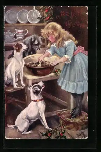 AK Junge Frau füttert in der Küche drei Terrier