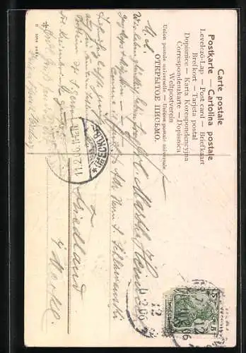 AK Schwalbe sitzt auf Ast und putzt sich