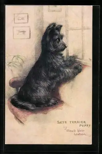 Künstler-AK Skye Terrier Welpe am Fenster