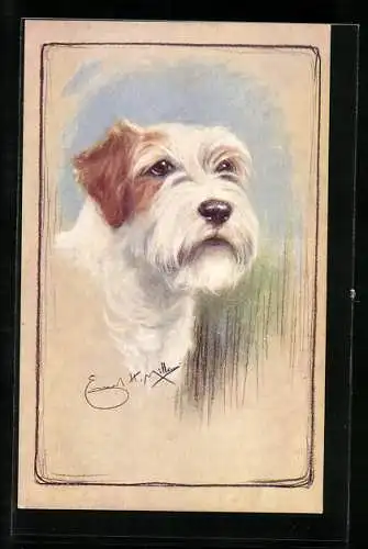 AK Weiss-brauner Terrier mit treuem Blick