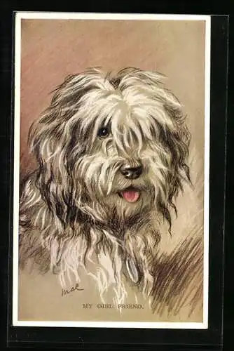 AK Portrait eines weissen Terriers