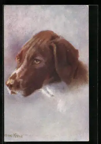 AK Portrait eines braunweissen Jagdhunds