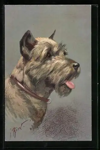 Künstler-AK Seitenportrait eines Pinschers (Schnauzer) mit herausgestreckter Zunge