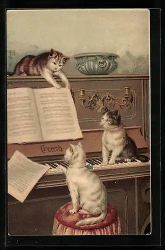 AK Katzen am Piano