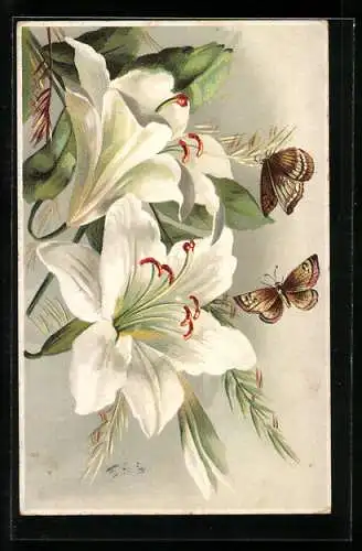 Lithographie Zwei Schmetterlinge und weisse Lilien