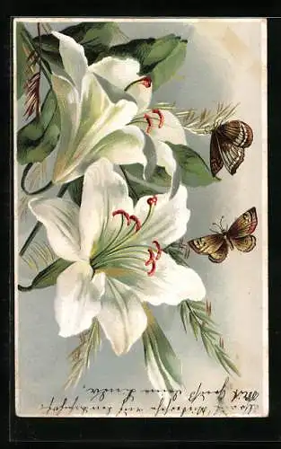 Lithographie Zwei Schmetterlinge und weisse Lilienblüten
