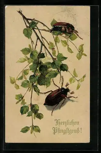 AK Zwei Maikäfer mit Birkenreisig, Pfingstgruss