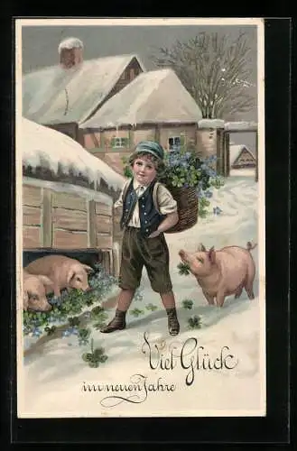 AK Knabe mit Glückskleekorb und Schweinen, Neujahrsgruss