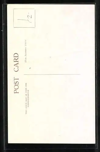 AK Exotic Moths, Hyperthaema perflammans, Amastus adela & Automolis chrysomelas, Falter, Motten