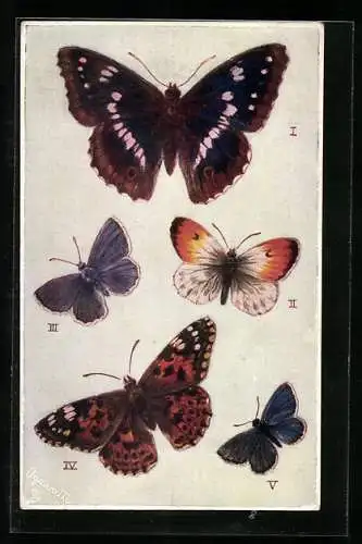 AK Schmetterlinge mit blauer, weisser und roter Färbung, Tupfen, British Butterflies