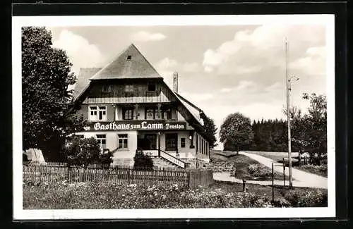 AK Gündelwangen /Hochschwarzwald, Gasthaus-Pension zum Lamm