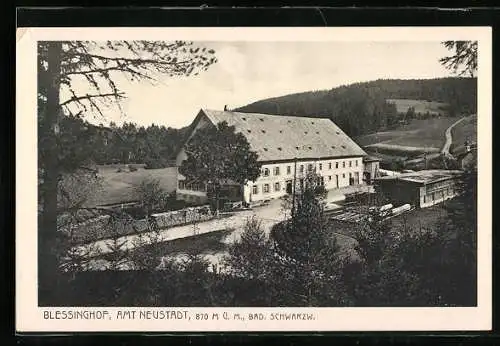 AK Neustadt / Schwarzwald, Blessinghof mit Umgebung aus der Vogelschau