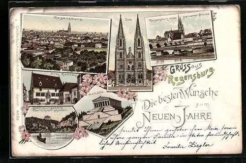 Lithographie Regensburg, Walhalla, Altes Rathaus, Dom