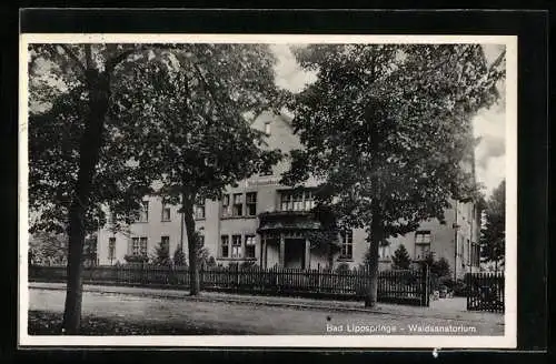 AK Bad Lippspringe, Waldsanatorium mit Strassenpartie