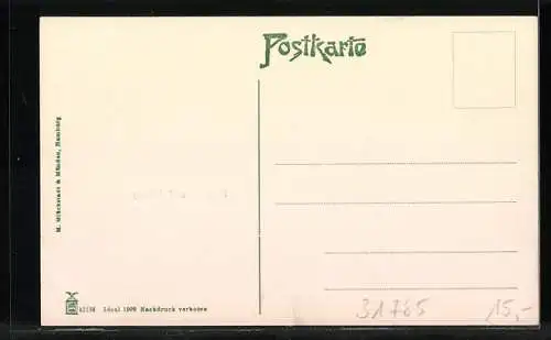 AK Hameln a. d. Weser, Panorama, Hochzeitshaus