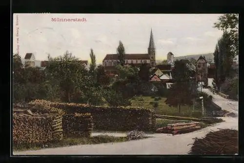 AK Münnerstadt, Panorama mit Kirche