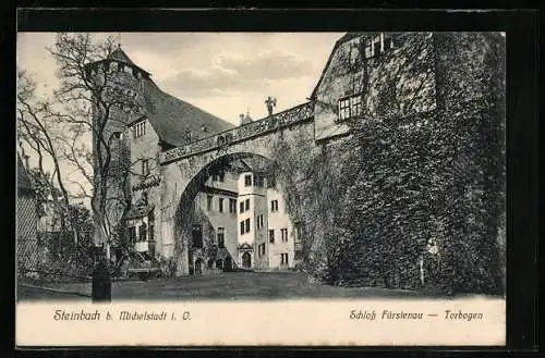 AK Steinbach /Michelstadt, Schloss Fürstenau, Torbogen