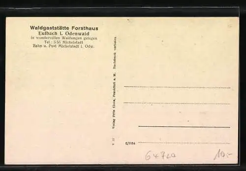 AK Eulbach / Odenwald, Waldgasthaus Forsthaus, Strasse durch den Wald