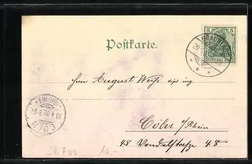 AK Braunlage, Gesamtansicht vom Adamsblick