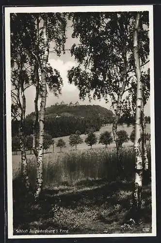 AK Augustusburg im Erzgeb., Schloss Augustusburg