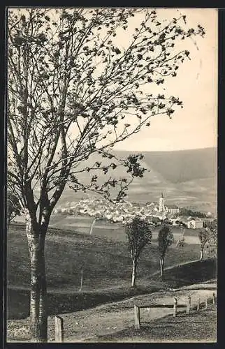 AK Oberwiesenthal, Blick auf den Ort mit Fichtelberg