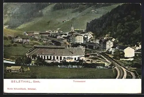 AK Selzthal, Totalansicht