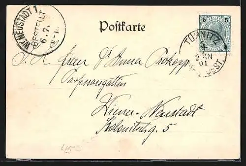 AK Türnitz /N.-Ö., Teilansicht mit Kirche