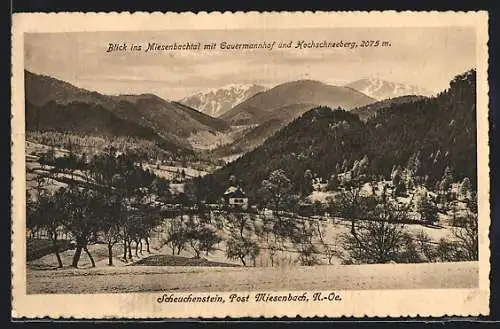 AK Scheuchenstein /Miesenbach, Misenbachthal mit Hotel Gauermannhof und Hochschneeberg