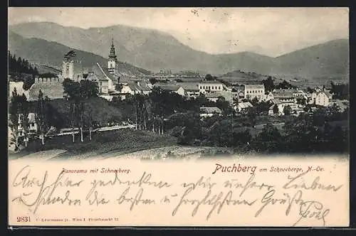 AK Puchberg am Schneeberg, Teilansicht mit Kirche