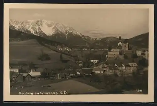 AK Puchberg am Schneeberg, Teilansicht mit Bergen