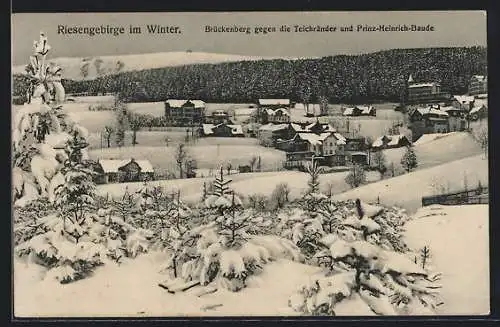 AK Brückenberg /Riesengebirge, Ortsansicht im Winter