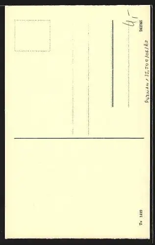 AK Posen, Rathaus mit Denkmal