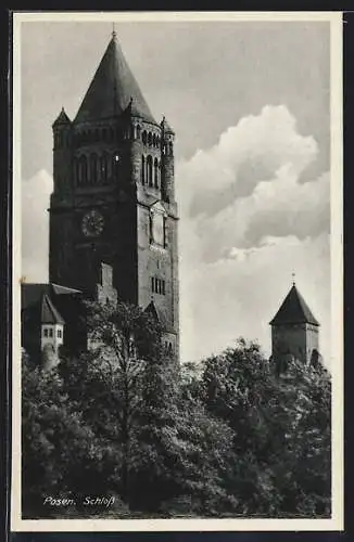 AK Posen /Wartheland, Blick zum Schloss