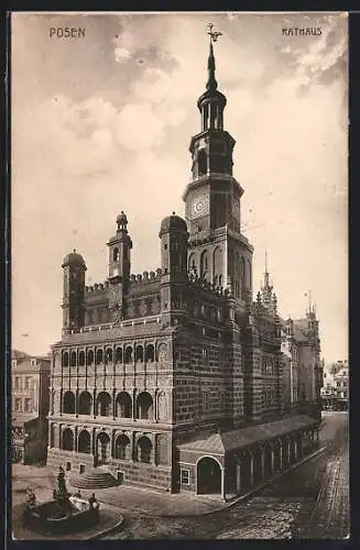 AK Posen / Poznan, Brunnen am Rathaus