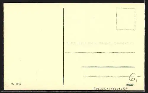 AK Posen / Poznan, Raczynski`sche Bibliothek