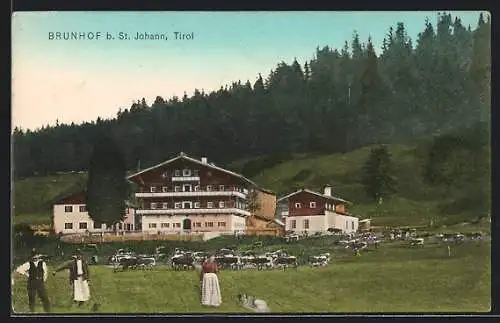 AK St. Johann in Tirol, Brunnhof, Kühe auf der Weide