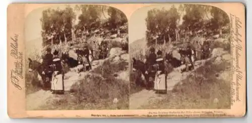 Stereo-Fotografie J. F. Jarvis, Washington D.C., Ansicht Menton, auf den Eselspfaden in den Bergen von Menton, Esel