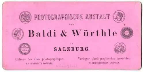 Stereo-Fotografie Baldi & Würthle, Salzburg, Ansicht Scharitzkehl, Scharitzkehl mit dem hohen Göll